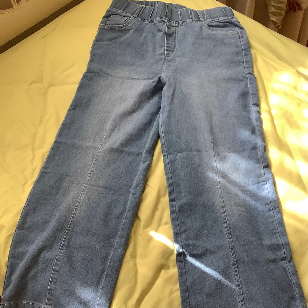 Legletic Elastic Waist wide Leg Jeans